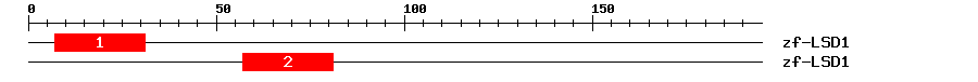 Signature Domain