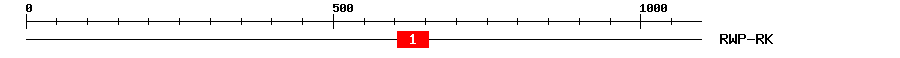 Signature Domain