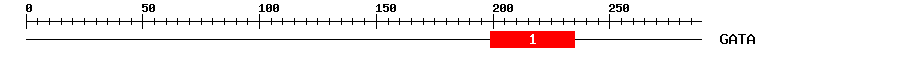 Signature Domain