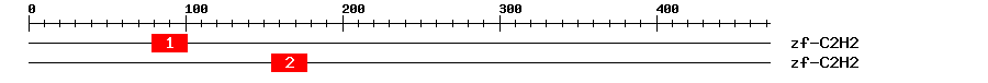 Signature Domain