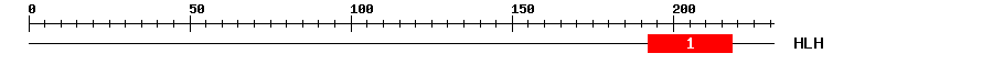 Signature Domain