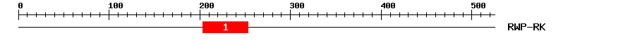 Signature Domain
