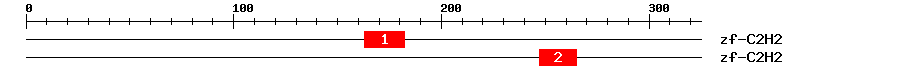Signature Domain