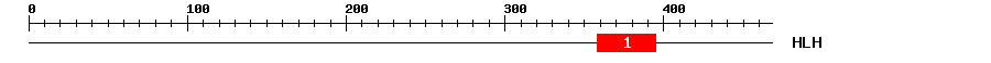 Signature Domain