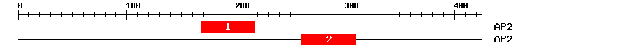Signature Domain