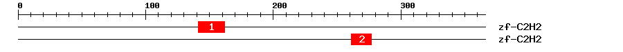 Signature Domain