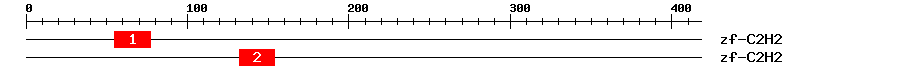 Signature Domain
