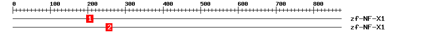 Signature Domain