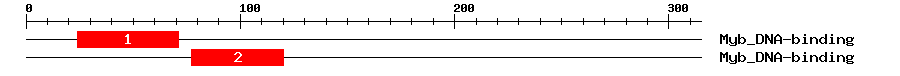 Signature Domain