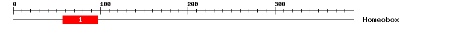 Signature Domain