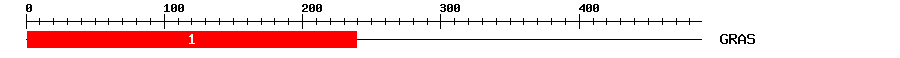 Signature Domain