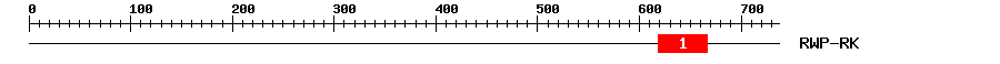 Signature Domain