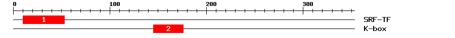 Signature Domain