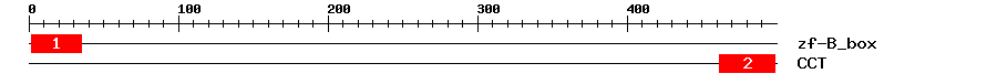 Signature Domain