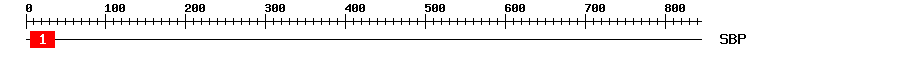 Signature Domain