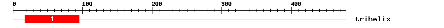 Signature Domain
