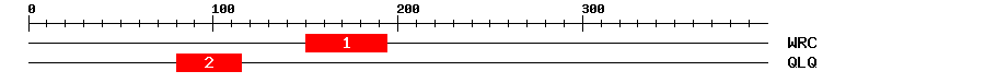 Signature Domain