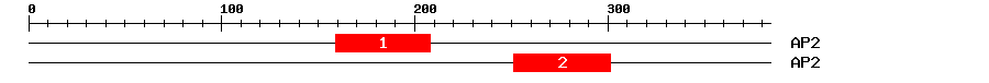 Signature Domain