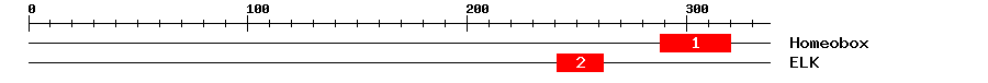 Signature Domain