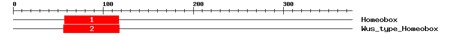 Signature Domain