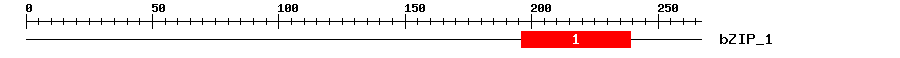 Signature Domain