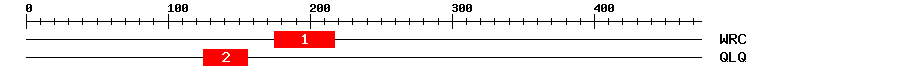 Signature Domain