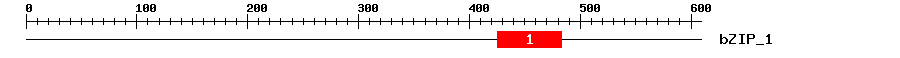 Signature Domain