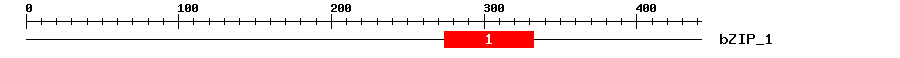 Signature Domain