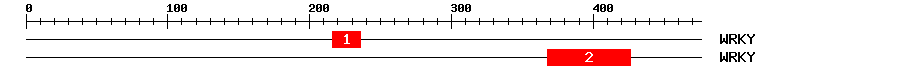 Signature Domain