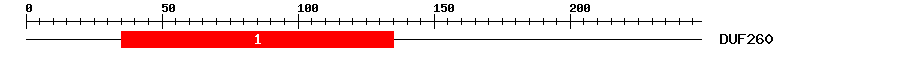 Signature Domain