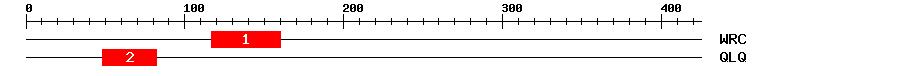 Signature Domain