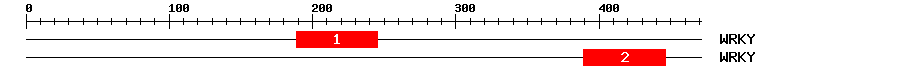 Signature Domain