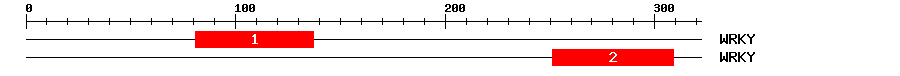 Signature Domain