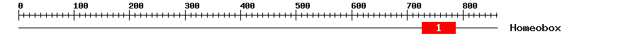 Signature Domain