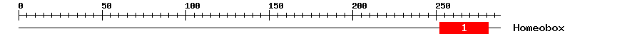 Signature Domain
