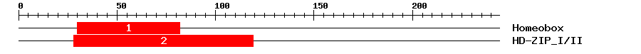 Signature Domain
