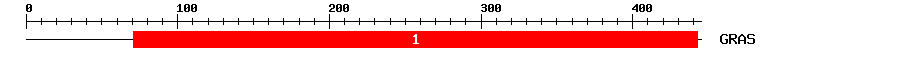 Signature Domain