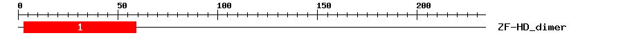 Signature Domain