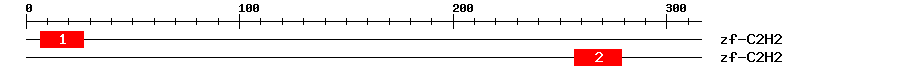 Signature Domain