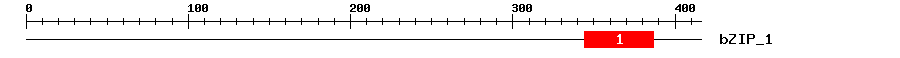 Signature Domain