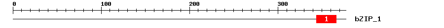 Signature Domain