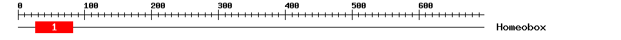 Signature Domain