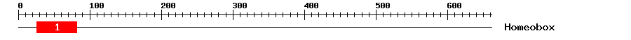 Signature Domain