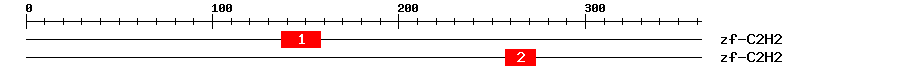 Signature Domain