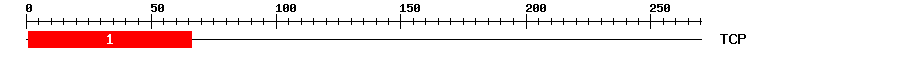 Signature Domain