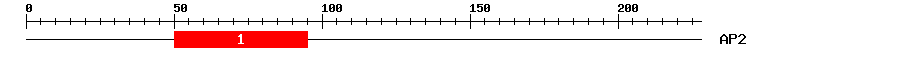 Signature Domain