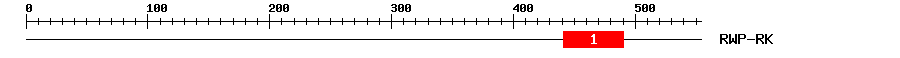 Signature Domain