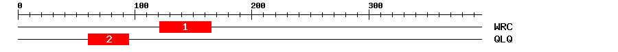 Signature Domain