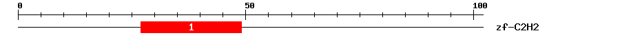 Signature Domain