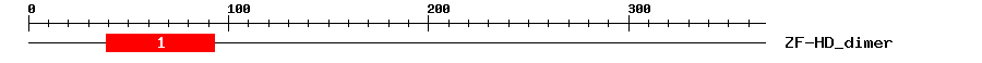 Signature Domain
